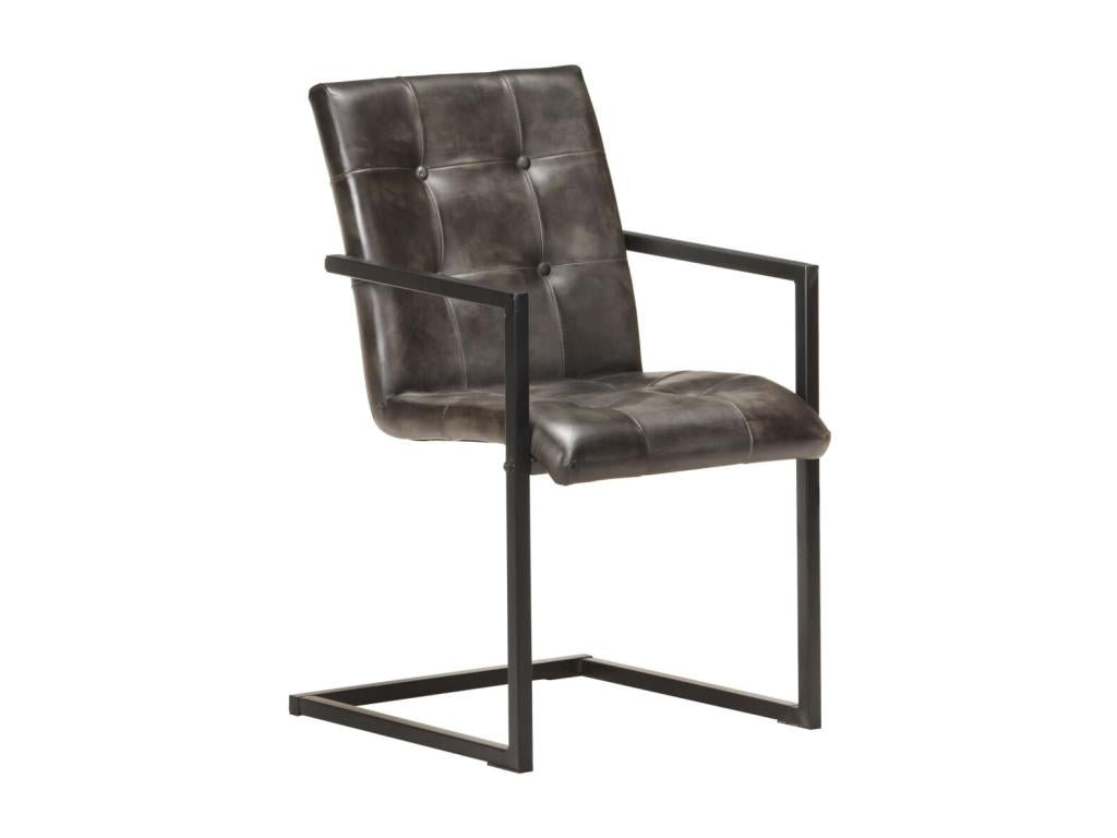 Cantilever dining chairs, set of 2, grey genuine leather LAGV49184