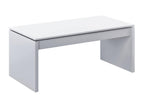 Boisona Coffee Table, Coffee Table with Lift-Top, Living Room Coffee Table, 102x50x43/54 cm, Glossy White, DXVW18221