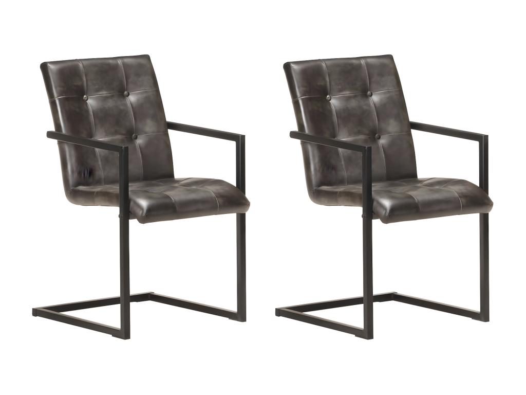 Cantilever dining chairs, set of 2, grey genuine leather LAGV49184